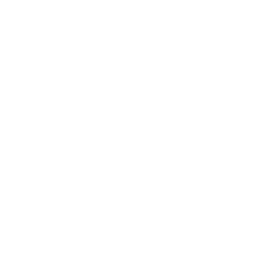 pikto bachelor