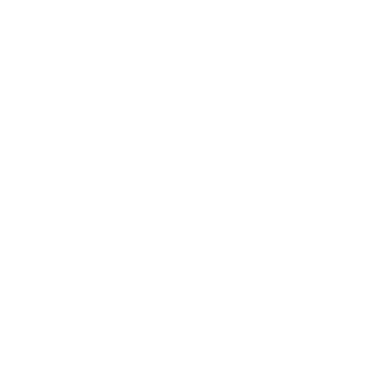 pikto bauleiter